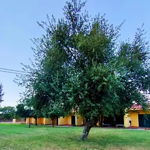  Сasa de vacaciones Nuraghe Ruiu &